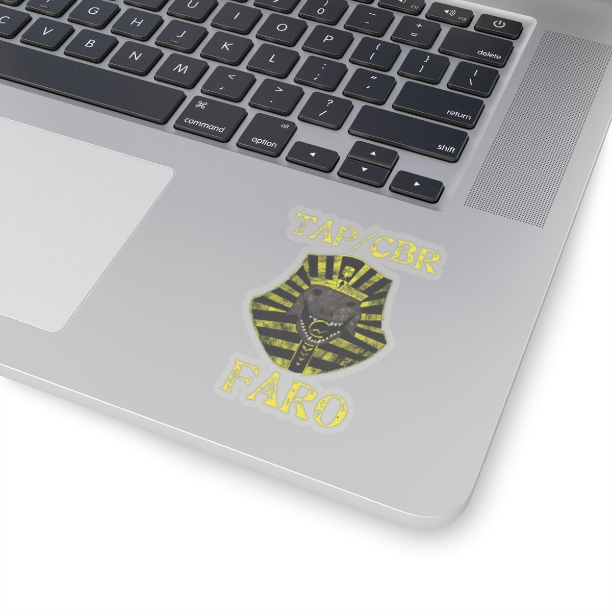 10th Marines CBR FARO Kiss-Cut Stickers