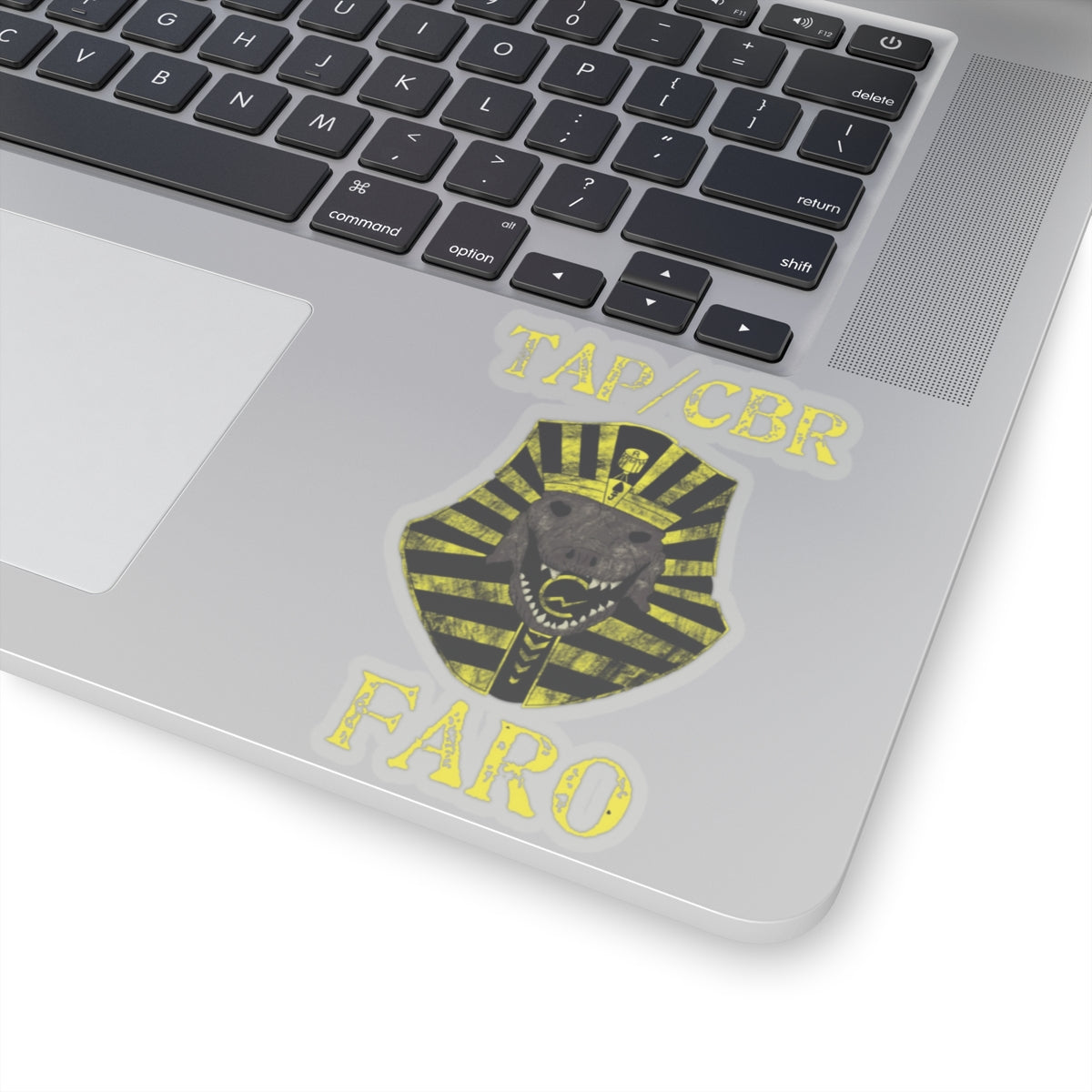 10th Marines CBR FARO Kiss-Cut Stickers