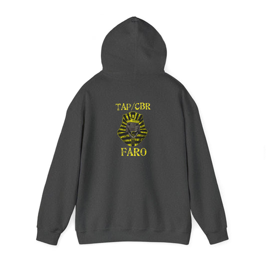 10th Marines CBR FARO Hoodie