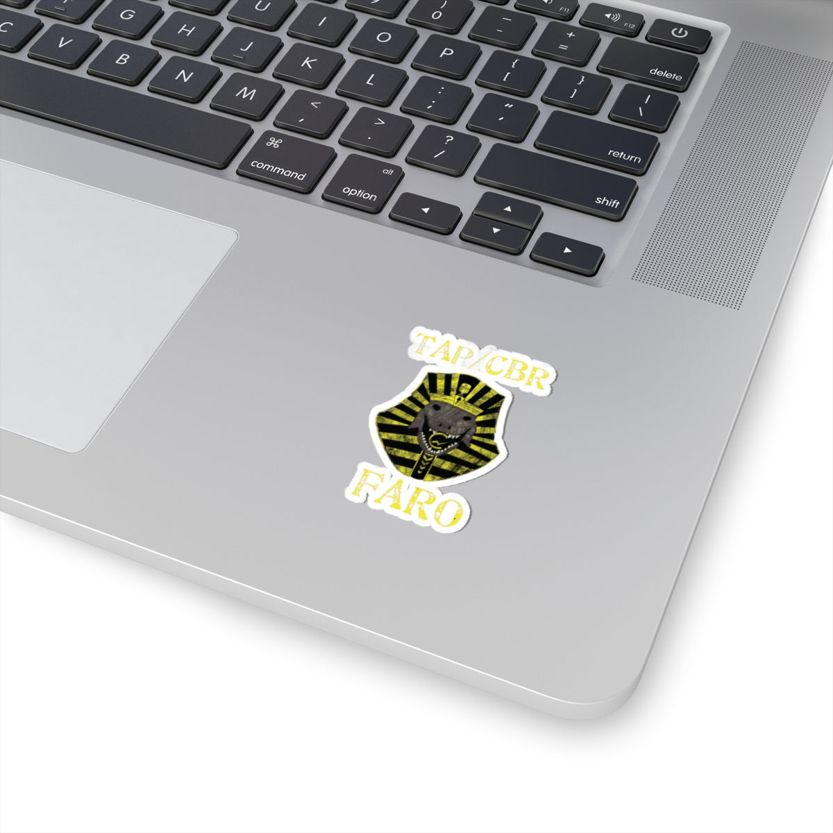10th Marines CBR FARO Kiss-Cut Stickers
