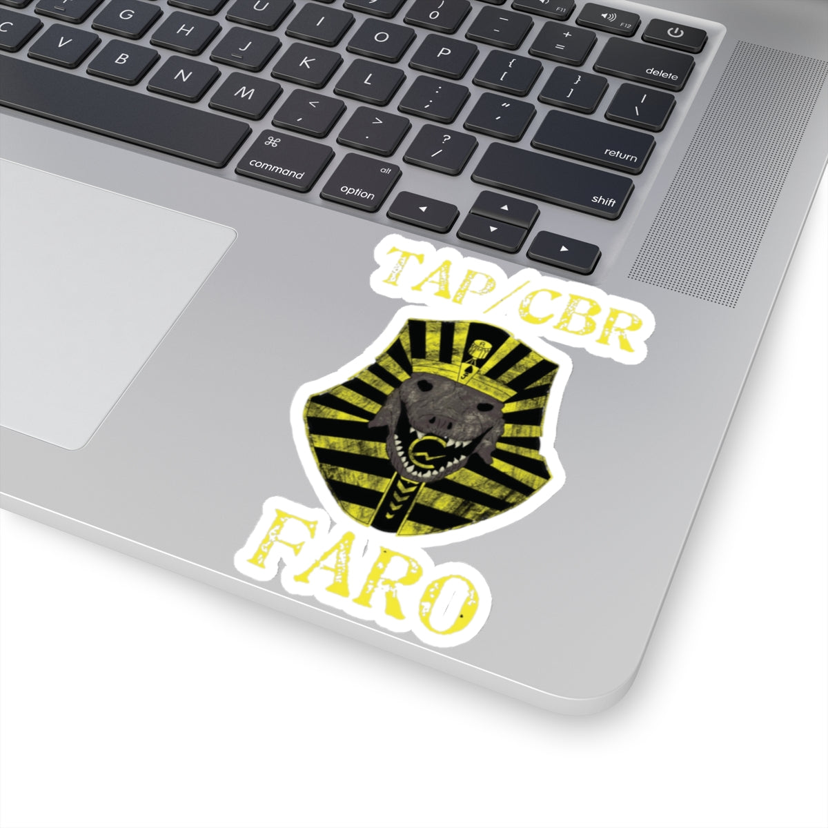 10th Marines CBR FARO Kiss-Cut Stickers