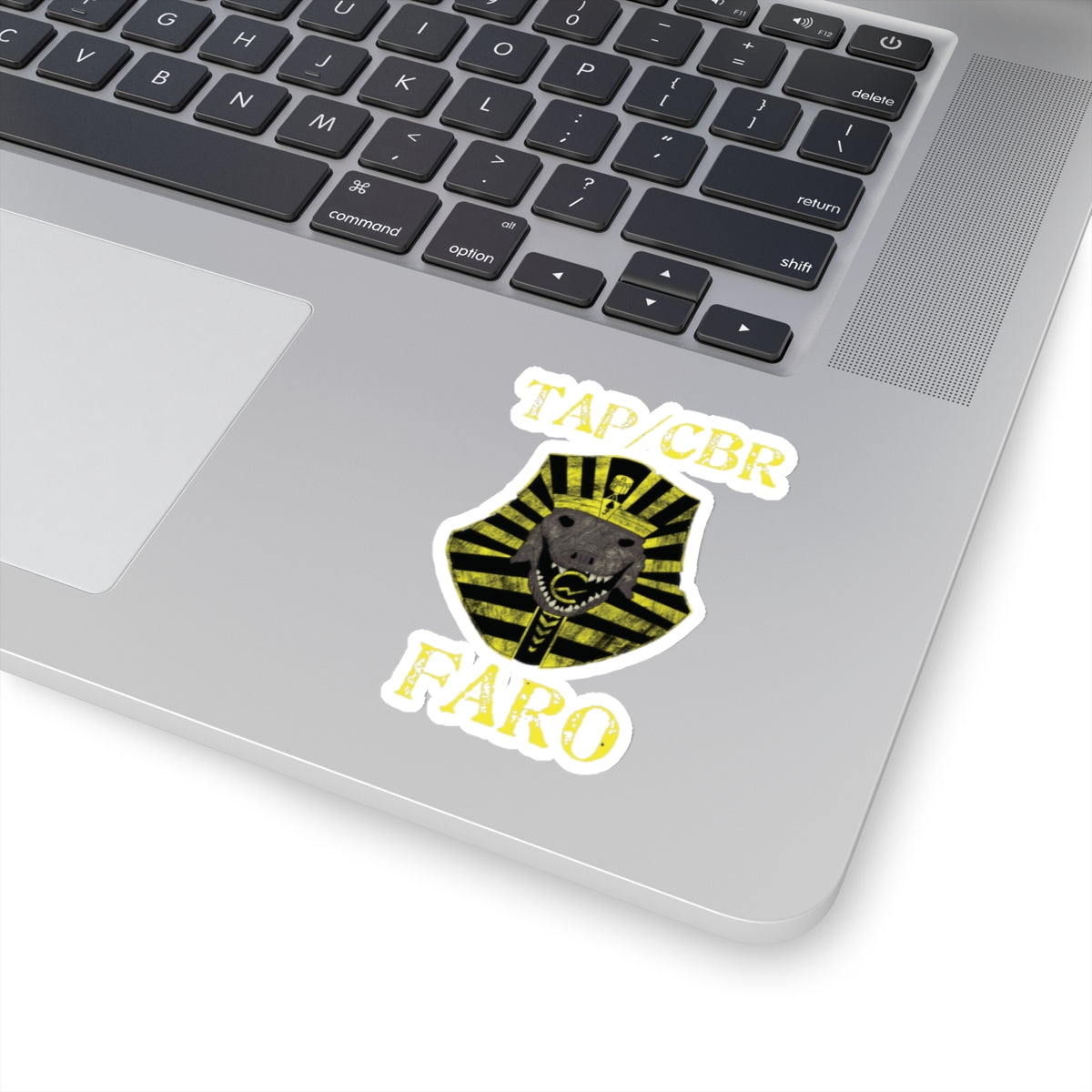 10th Marines CBR FARO Kiss-Cut Stickers